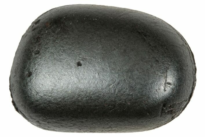 Fusion Crusted Sikhote-Alin Iron Meteorite ( g) - Russia #333107